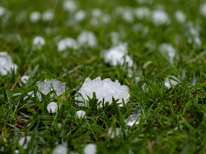 Hail Damage Assessment: A Homeowner’s Guide to Checking Windows and Doors After a Storm.